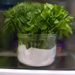 tama-yksinkertainen-menetelma-pitaa-tilli-ja-persilja-rapeana-koko-kuukauden.png